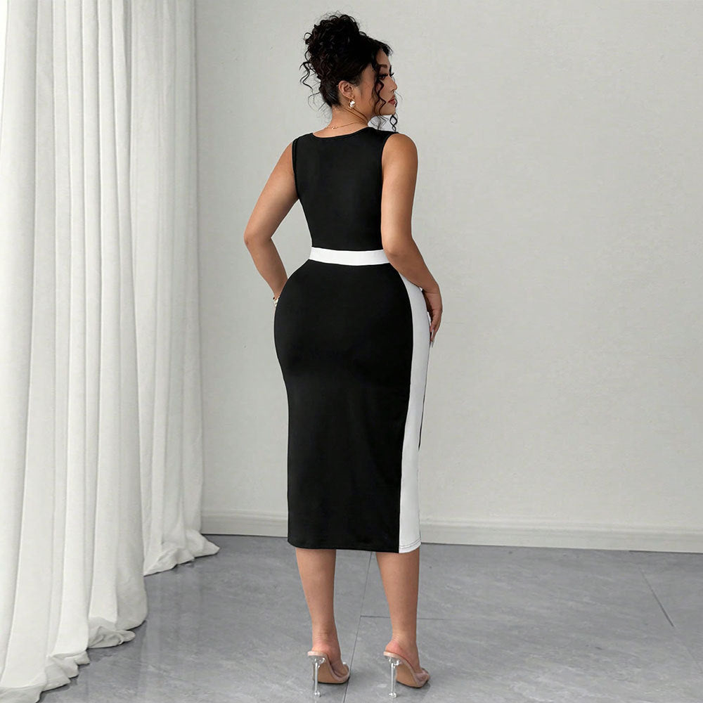 Women's Elegant Intellectual Style Contrasting-color Dress